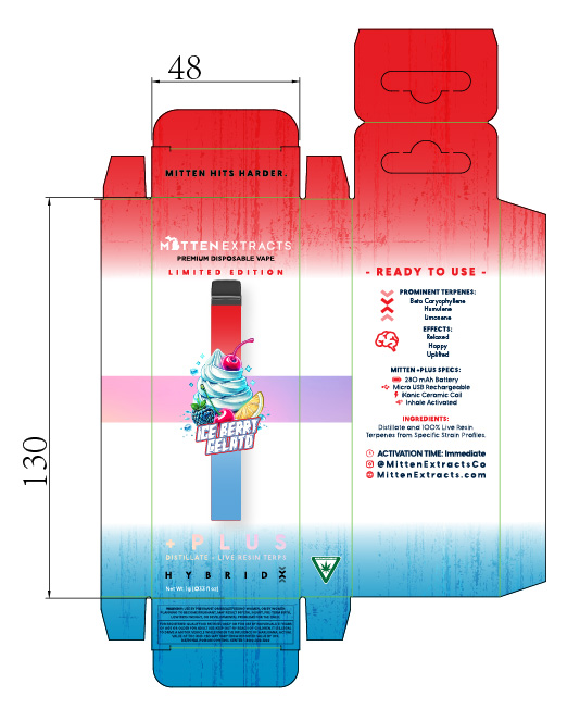 IBG layer 0